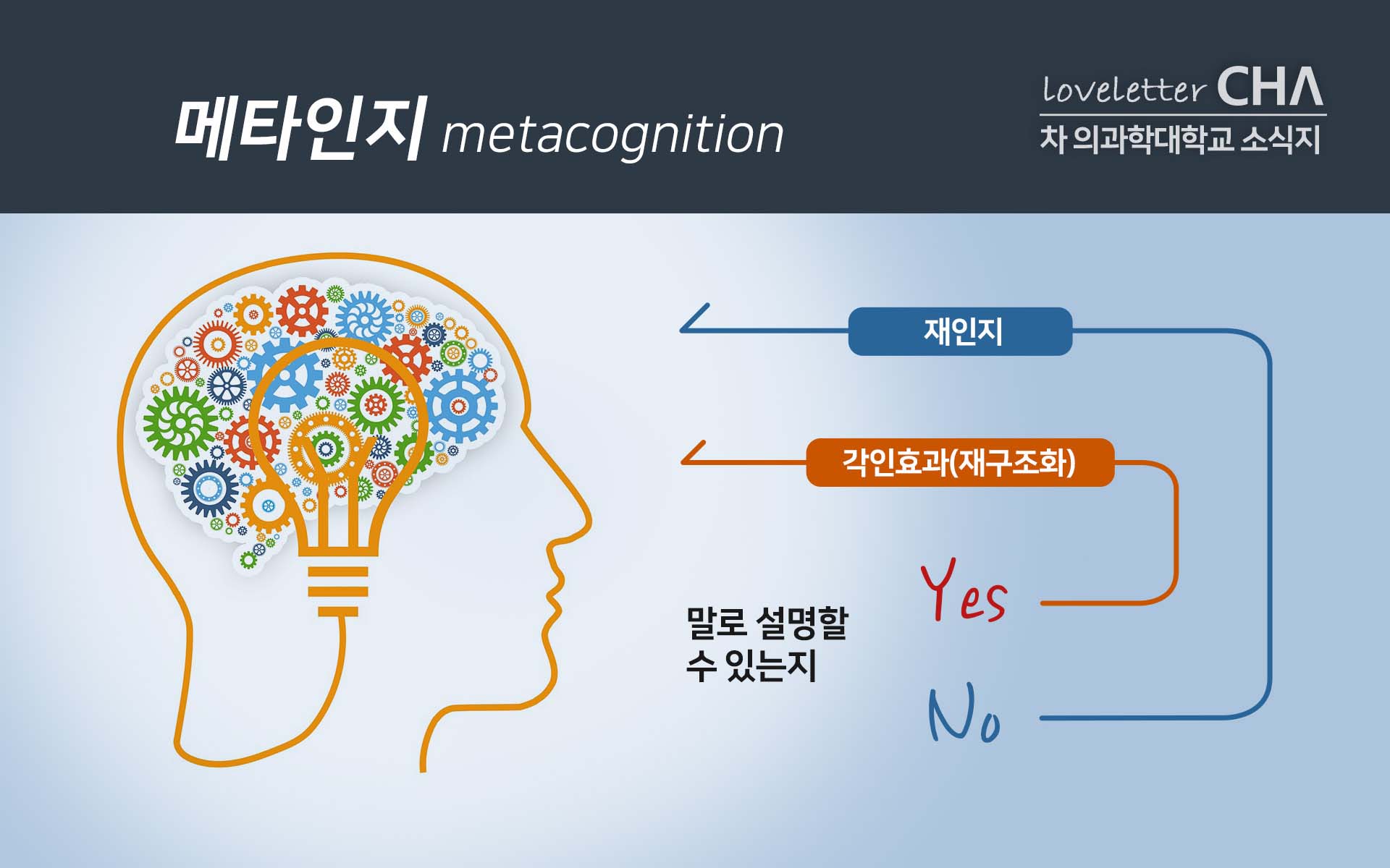 Cha-Info] 메타인지 (Metacognition) | Cha Newsroom